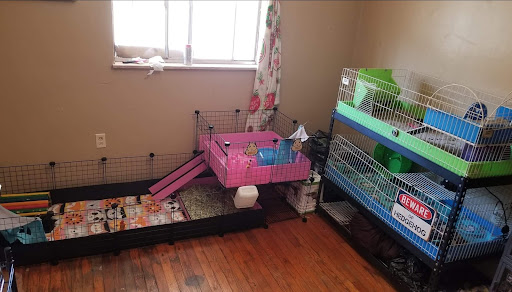 Pet Store «Inland Reef Pet Store», reviews and photos, 817 Cross Lanes Dr, Cross Lanes, WV 25313, USA