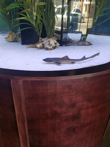 Tropical Fish Store «Aquatics & Exotics», reviews and photos, 7513 Hamilton Ave, Cincinnati, OH 45231, USA