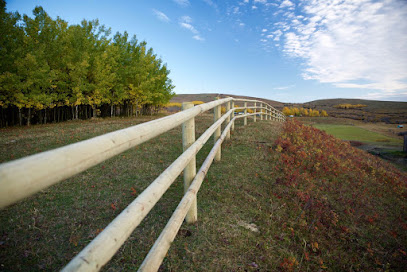 FOOTHILLS FENCING INC