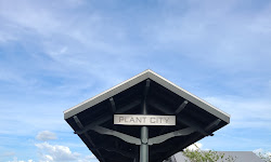 Plant City Train Viewing Platform