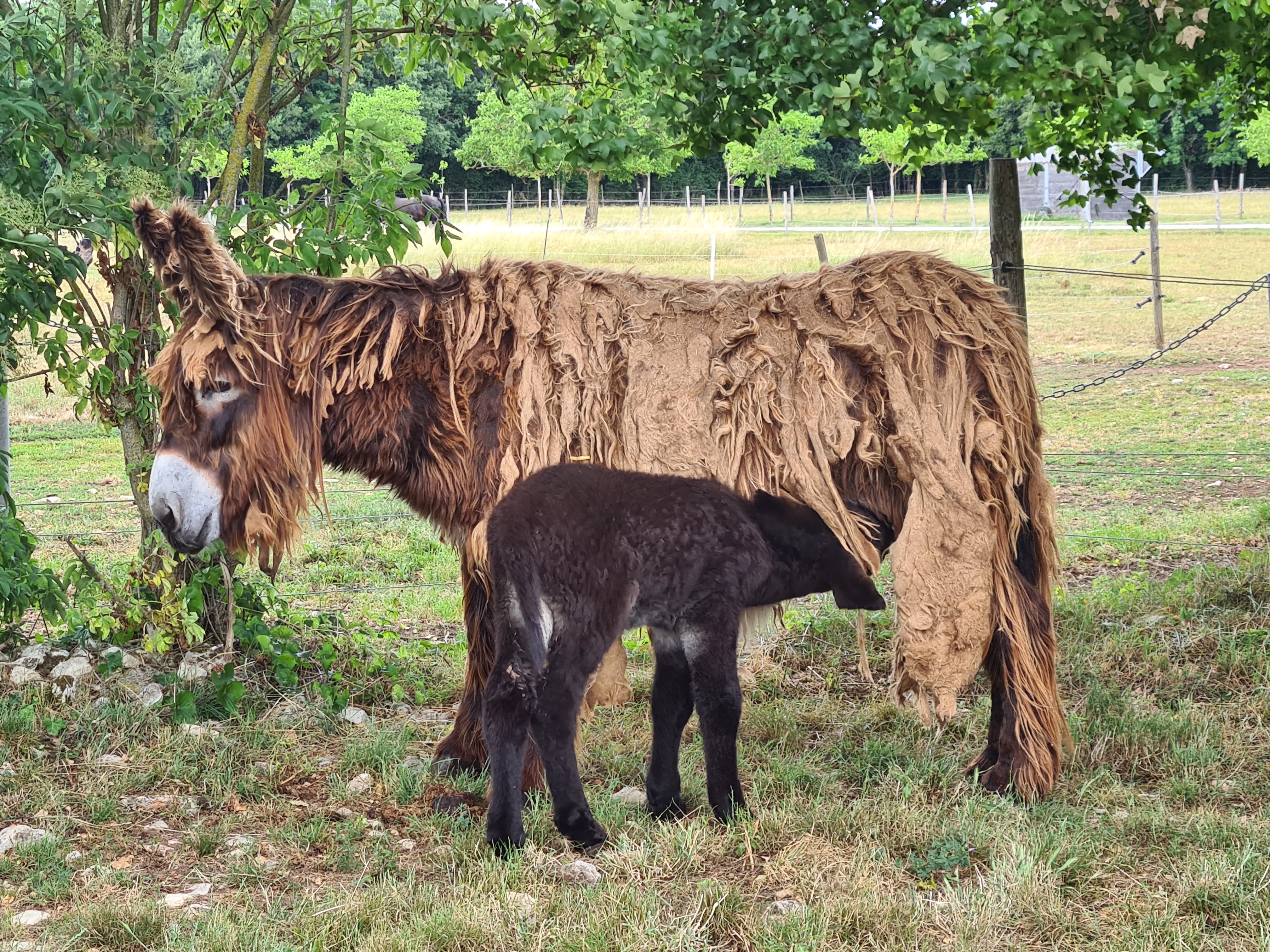 Photo n° 2 de l'avis de Christophe.u fait le 05/06/2022 à 16:34