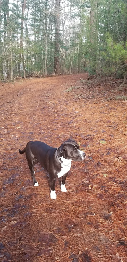 Park «Goodwill Park», reviews and photos, 416 Green St, Holliston, MA 02540, USA