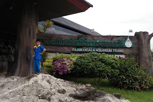 Rajamangala Aquarium Trang image