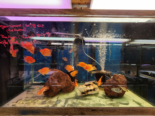 Tropical Fish Store «Keller Farms», reviews and photos, 3405 Denton Hwy, Haltom City, TX 76117, USA