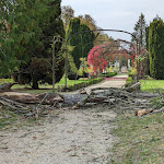 Photo n° 3 de l'avis de Stef.a fait le 01/11/2023 à 10:10 pour Parc de Richelieu à Richelieu