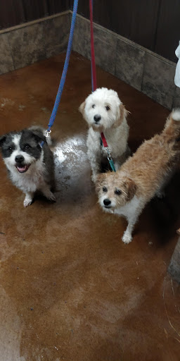 Pet Supply Store «Pet Food Plus», reviews and photos, 2819 E Hamilton Ave, Eau Claire, WI 54701, USA