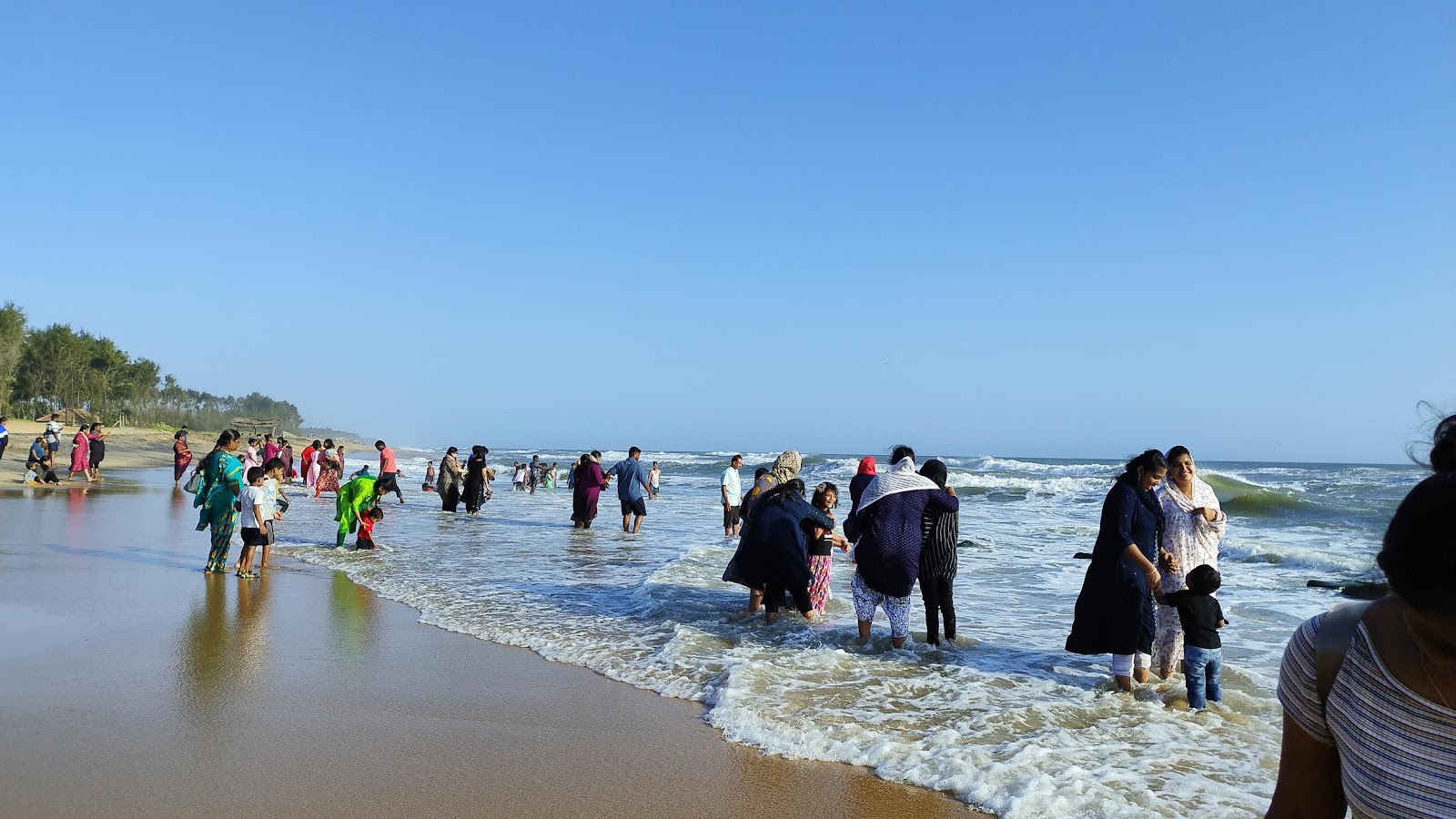 Kappil Beach'in fotoğrafı vahşi alan