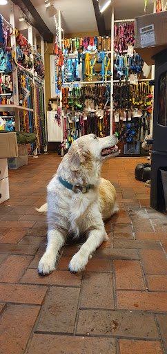 Time for dogs unter Hamm, 