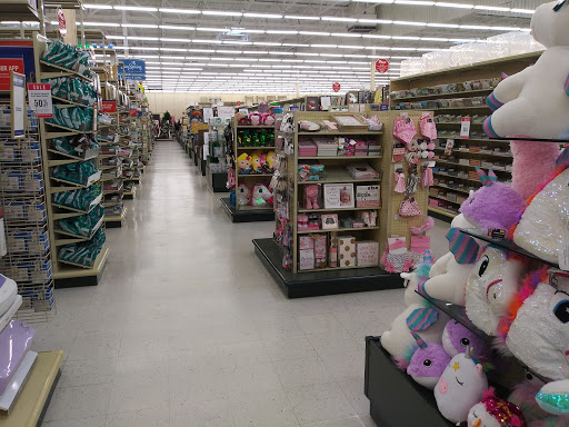 Craft Store «Hobby Lobby», reviews and photos, 4887 S Wadsworth Blvd #100, Littleton, CO 80123, USA