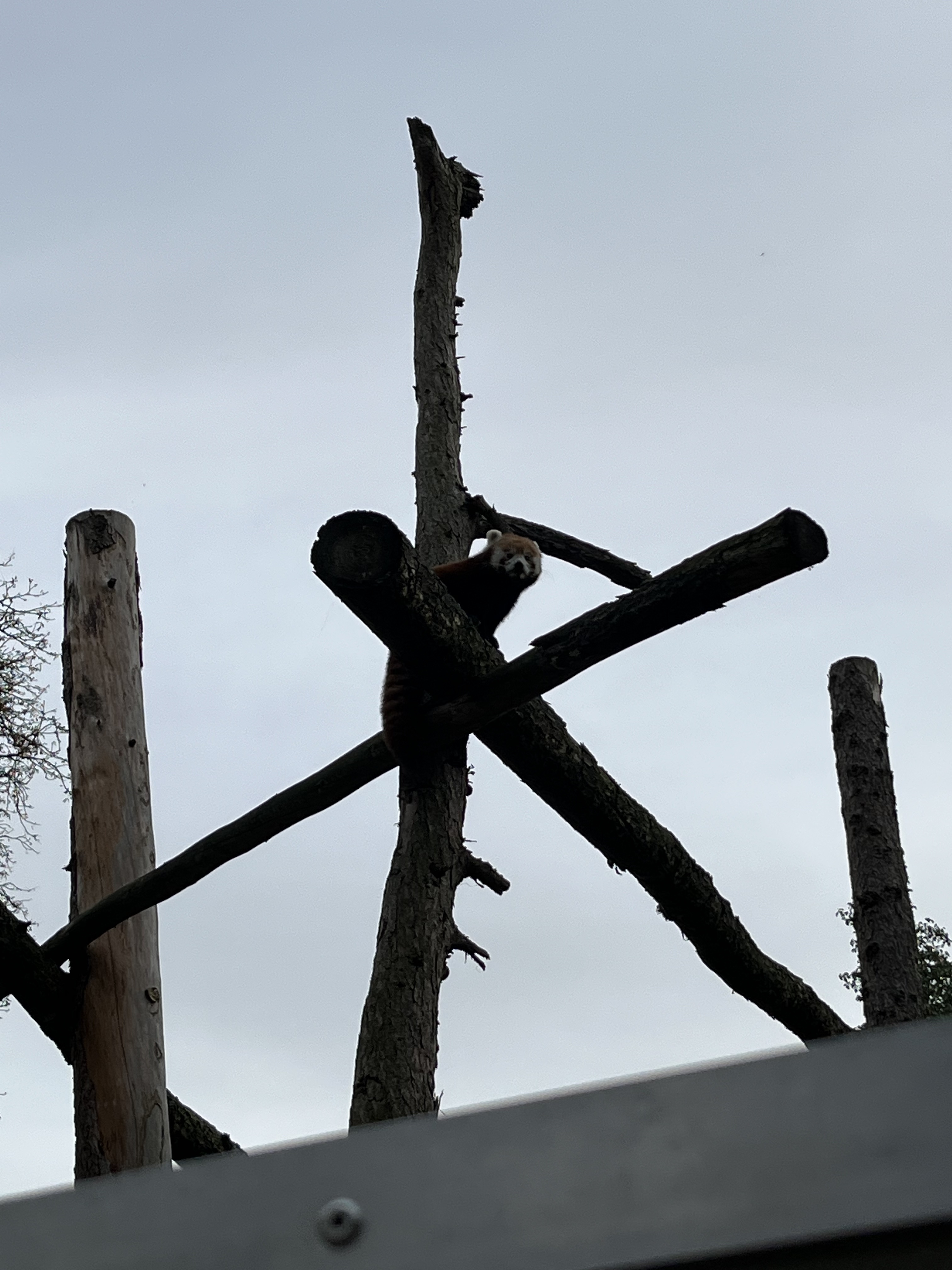 Photo n° 7 de l'avis de Célia.� fait le 07/11/2022 à 16:52