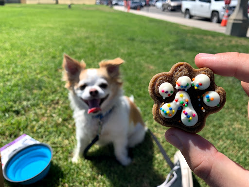 Pet Store «Naked Dog Bistro», reviews and photos, 424 Forest Ave, Laguna Beach, CA 92651, USA