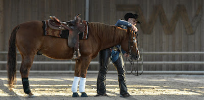 Westerlies Performance Horses-Centre d'équitation Western à Hourtin