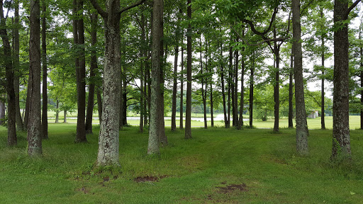 Golf Course «Greendale Golf Course», reviews and photos, 6700 Telegraph Rd, Alexandria, VA 22310, USA