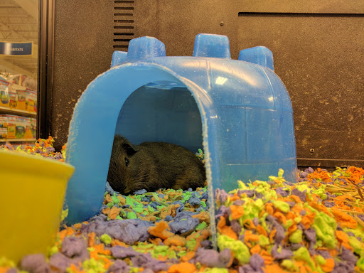 Shopping Mall «One Hundred Oaks Mall», reviews and photos, 719 Thompson Ln, Nashville, TN 37204, USA