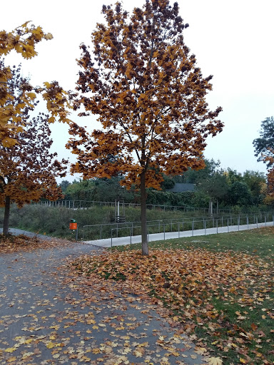 Parks mit Tischtennisplatte Berlin