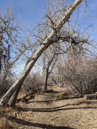 Park «Piney Creek Hollow Park», reviews and photos, 6140 S Tower Rd, Aurora, CO 80016, USA