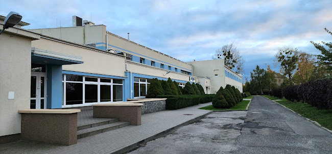 WKS "Flota" Gdynia Sekcja Judo i Sportów Walki