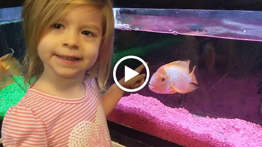 Pet Store «Fins And Feathers», reviews and photos, 222 Willow Ave, Honesdale, PA 18431, USA