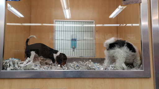 Pet Store «Animal Kingdom», reviews and photos, 5000 S Arizona Mills Cir, Tempe, AZ 85282, USA