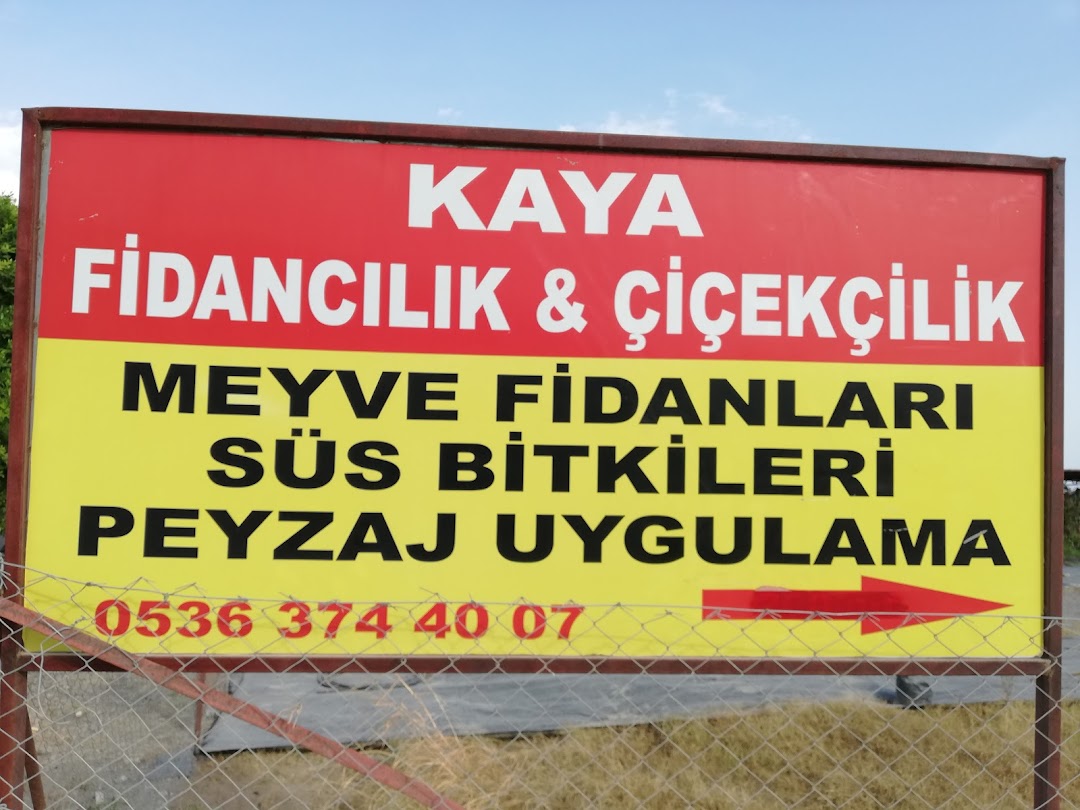 Kaya Fidanclk