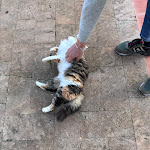 Photo n°23 de l'avis de Bacodaseta. fait le 02/01/2024 à 10:03 sur le  Magaggiari Hotel Resort à Cinisi