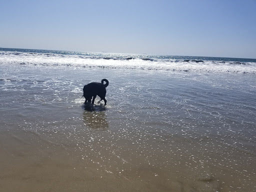 Coronado Beach & Dog Park