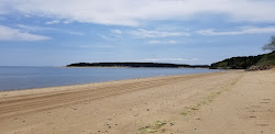 Mayo beach的照片 野外区域