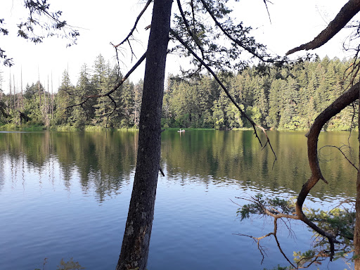 Produce Market «Camas Produce», reviews and photos, 2940 NE Everett St, Camas, WA 98607, USA