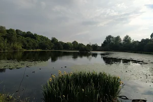 Kilmardinny Loch image