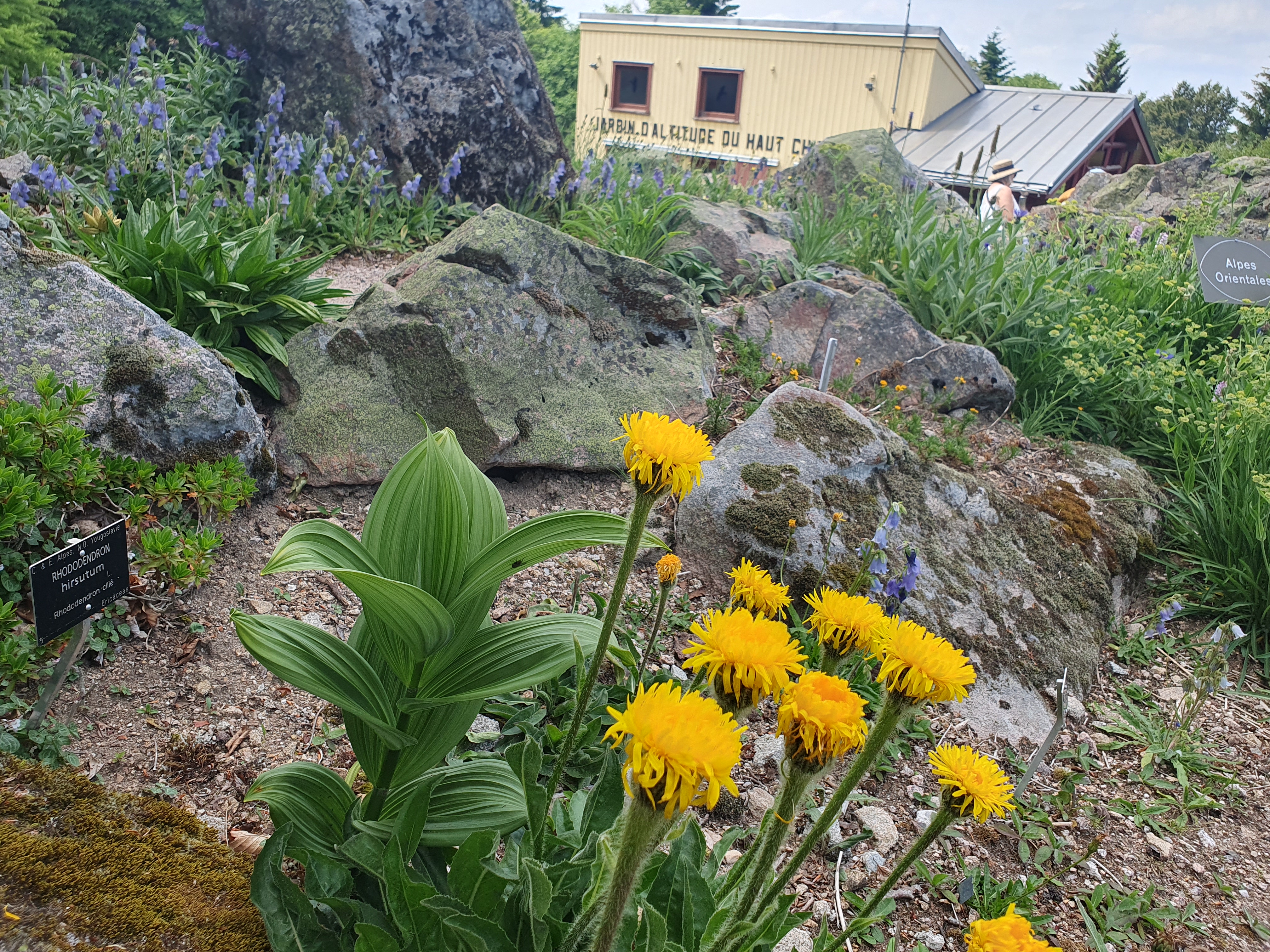 Photo n° 1 de l'avis de SYLVIE.A fait le 29/06/2023 à 20:48