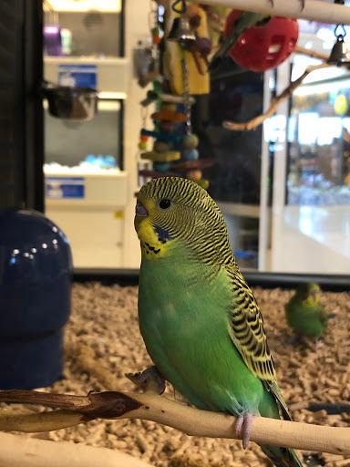 Pet Supply Store «PetSmart», reviews and photos, 7663 Arundel Mills Blvd, Hanover, MD 21076, USA