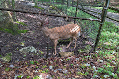 Bays Mountain Recreation Area