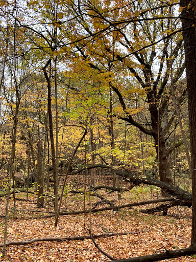 Nature Preserve «Orland Grassland», reviews and photos, 167th Street & S La Grange Road, Tinley Park, IL 60487, USA