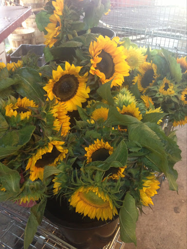 Farm «Four Town Farm», reviews and photos, 90 George St, Seekonk, MA 02771, USA