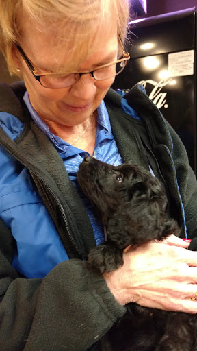 Pet Groomer «Studio 25 Pet Salon and Boarding», reviews and photos, 103 Barnes Rd, Williamstown, KY 41097, USA