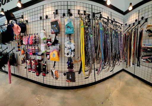 Thrift Store «The Salvation Army Family Store & Donation Center», reviews and photos