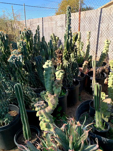 Gas Station «Circle K», reviews and photos, 12707 W Grand Ave, Surprise, AZ 85374, USA