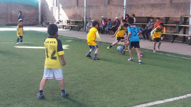 Gras Sintetico GANAGOL - Gimnasio