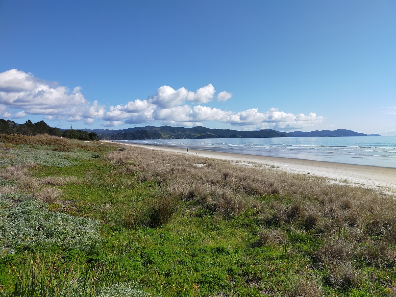 Matarangi Beach的照片 野外区域