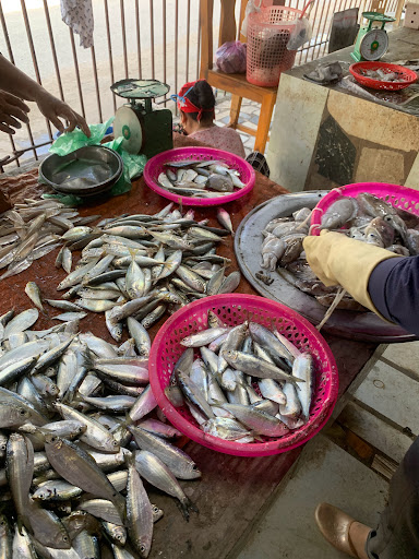 Top 20 cửa hàng bán đồ Huyện Quảng Xương Thanh Hóa 2022