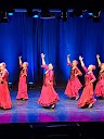 Escuela de baile flamenco David Coronel