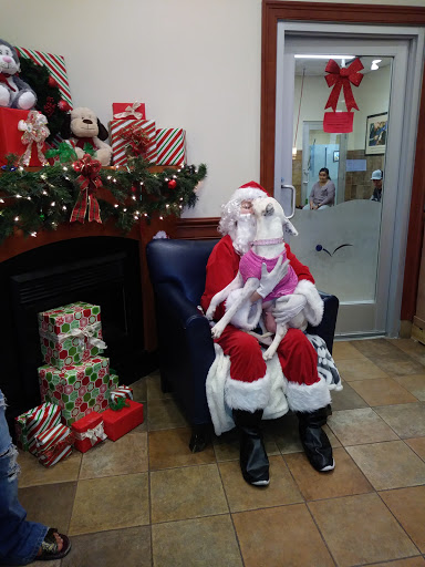 Pet Supply Store «PetSmart», reviews and photos, 19175 Lyndon B Johnson Fwy, Mesquite, TX 75150, USA