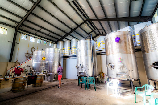 Winery «Cardwell Hill Cellars», reviews and photos, 24241 Cardwell Hill Dr, Philomath, OR 97370, USA