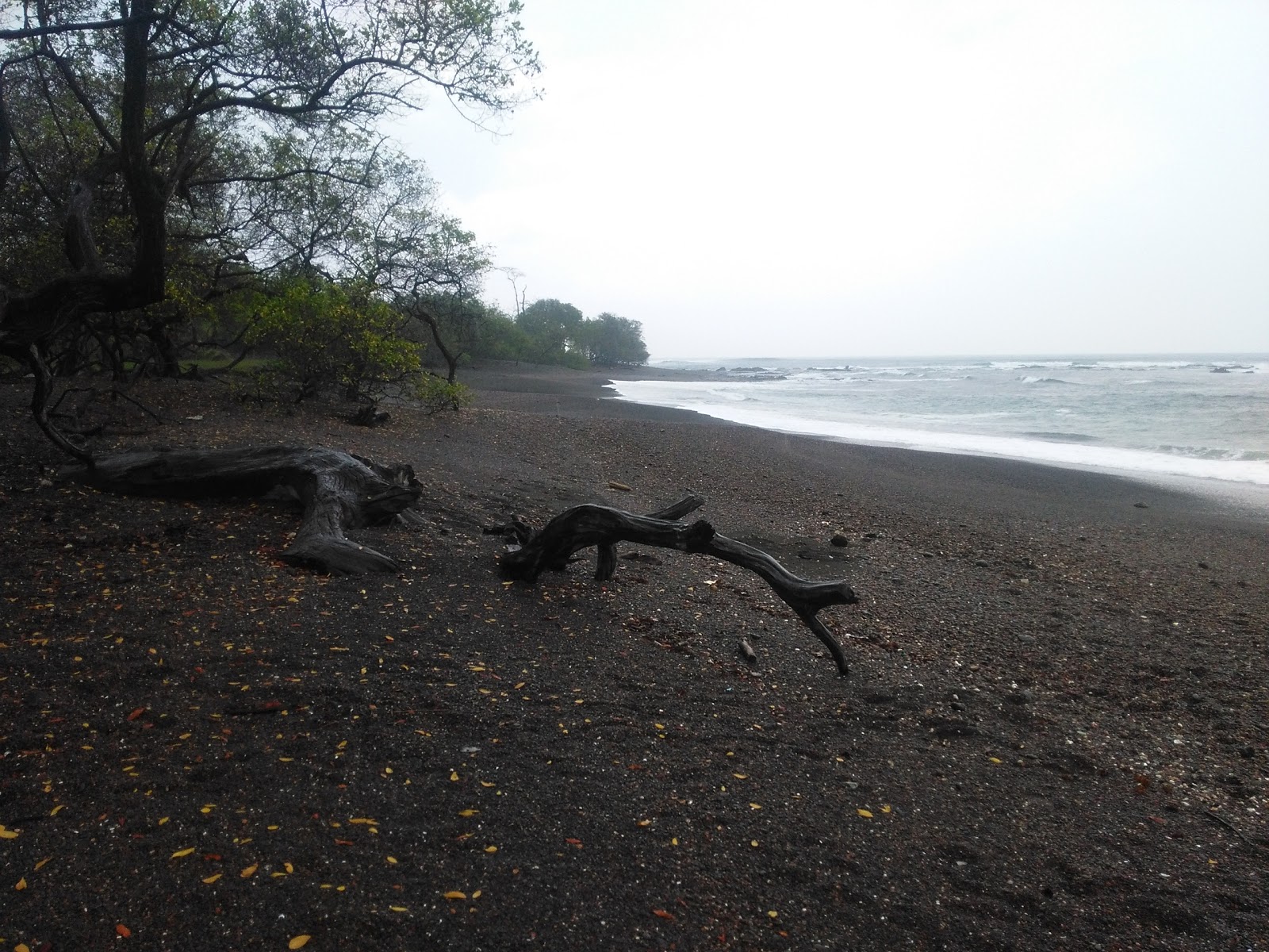 Photo de Frijolar Beach situé dans une zone naturelle