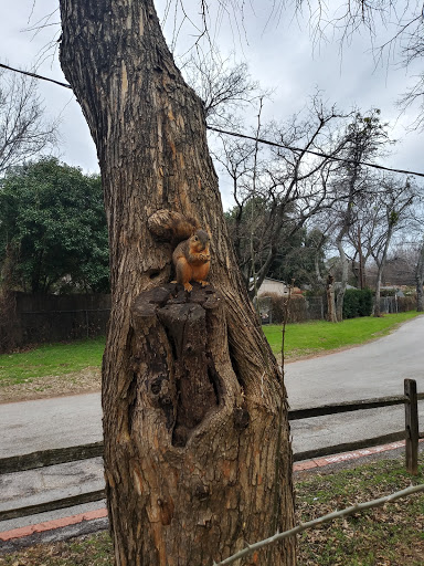 Park «J.A. Carr Park», reviews and photos, 508 Simmons Dr, Euless, TX 76040, USA