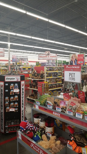 Home Improvement Store «Tractor Supply Co.», reviews and photos, 125 West St, Jacksboro, TX 76458, USA