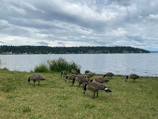 Park «Seward Park», reviews and photos, 5900 Lake Washington Blvd S, Seattle, WA 98118, USA