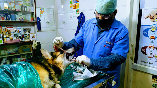 Dr Mohan Deshkar Pet Animal Clinic