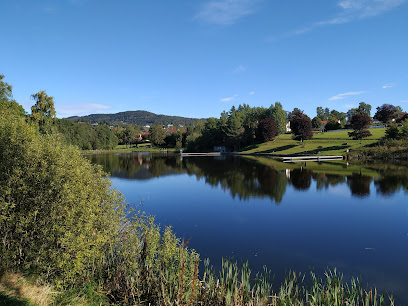 Holmendammen fiskebrygger