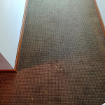 Photo n°2 de l'avis de A.B fait le 30/10/2019 à 10:29 sur le  Hotel Embassy & Boston à Milano Marittima